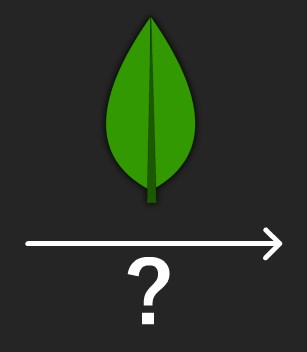 Symmetrical structure of a tree leaf
