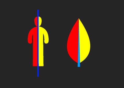 Diagram of the centered model with the Transcendent in the middle