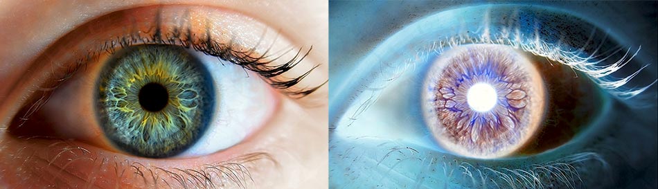 Inversion of eye color